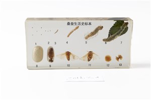 Image description is not available for 2018.3.1